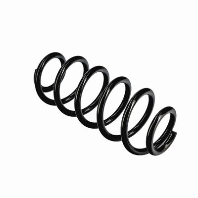 ARC SPIRAL EIBACH R11107 22