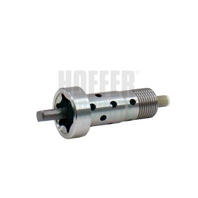 SUPAPA COMANDA POZ. ARBORE CU CAME HOFFER 80915021