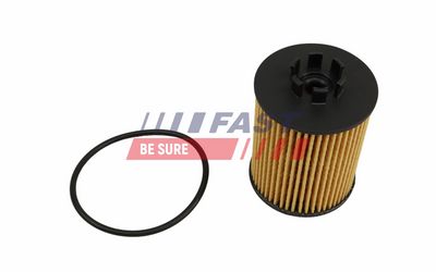FILTRU ULEI FAST FT01335 1