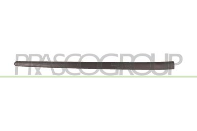 ELEMENTE DECORATIVE/PROTECTIE PORTIERA PRASCO VG0361403