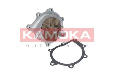 Water Pump, engine cooling T0094