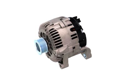 GENERATOR / ALTERNATOR REMANTE 011003000789R 8