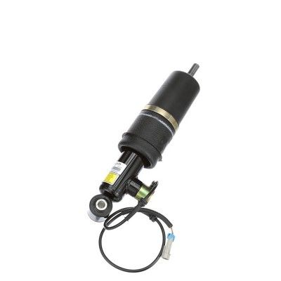 LUFTFEDERBEIN Arnott AS2177 62