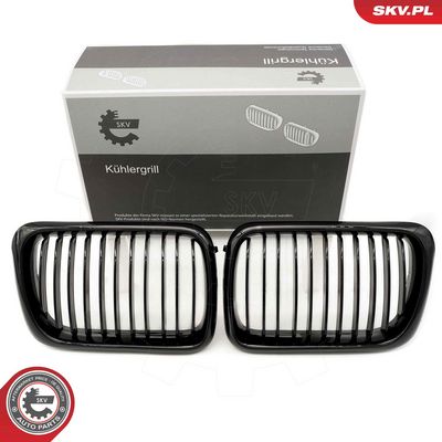 GRILA RADIATOR ESEN SKV 66SKV049 9
