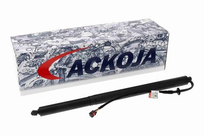 MOTOR ELECTRIC HAION ACKOJA A52550002 1