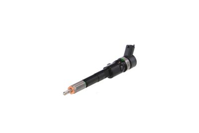 INJECTOR REMANTE 002003001665R 61