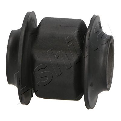 BUCSA ARC FOI ASHIKA GOM3096 1