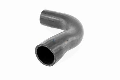 FURTUN EAR SUPRAALIMENTARE ACKOJA A389600 3