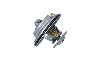 TERMOSTAT LICHID RACIRE NRF 725075 19