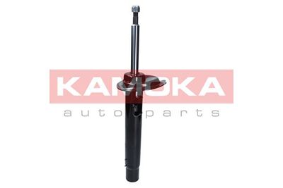 Shock Absorber 2000416