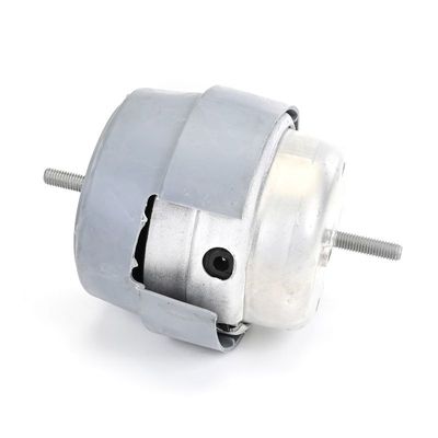 LAGERUNG MOTOR DELPHI TEM288 3