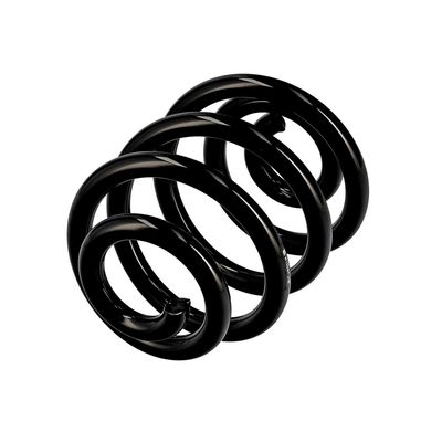 ARC SPIRAL EIBACH R10087 3