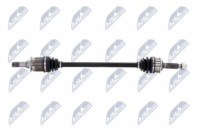 PLANETARA NTY NPWMS125 7