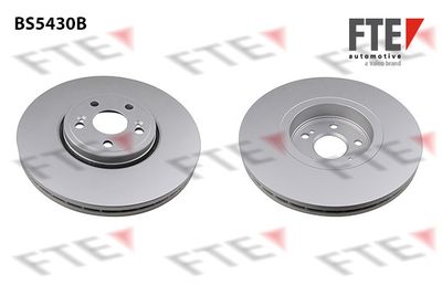 Тормозной диск FTE 9081191 для RENAULT VEL