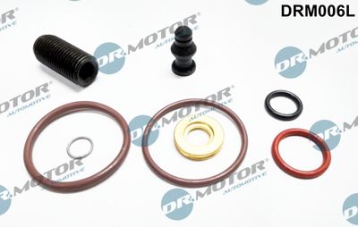 Reparatursatz, Pumpe-Düse-Einheit Dr.Motor Automotive DRM006L