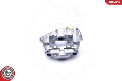 Brake Caliper 34SKV904