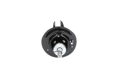 AMORTIZOR Kavo Parts SSA4002 2