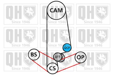 SET CUREA DE DISTRIBUTIE QUINTON HAZELL QBK399 1