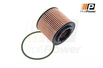 alyvos filtras 1F0025 ProfiPower