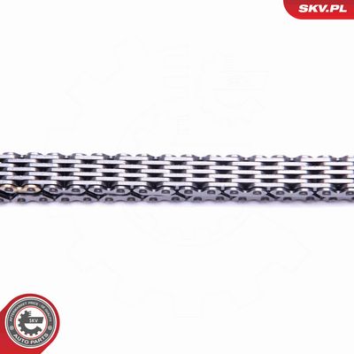 CHIT LANT DE DISTRIBUTIE ESEN SKV 21SKV150 2