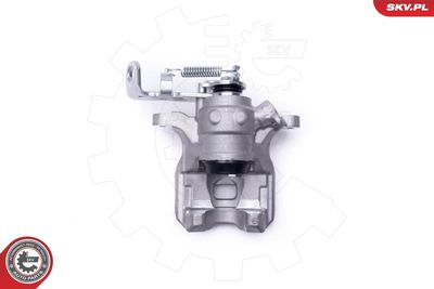 Brake Caliper 55SKV844