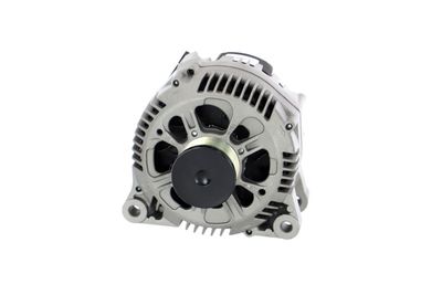 GENERATOR / ALTERNATOR REMANTE 011003000053R 61