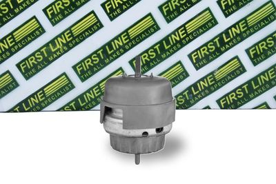 окачване, двигател FIRST LINE FEM4288
