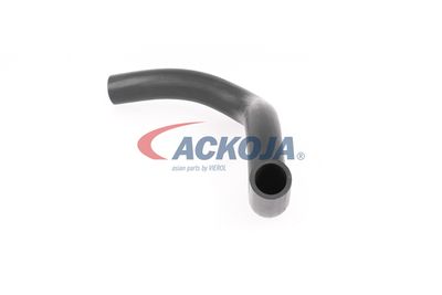 FURTUN RADIATOR ACKOJA A641603 21