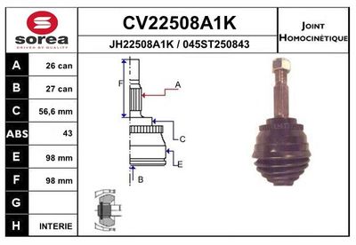 SET ARTICULATIE PLANETARA EAI CV22508A1K