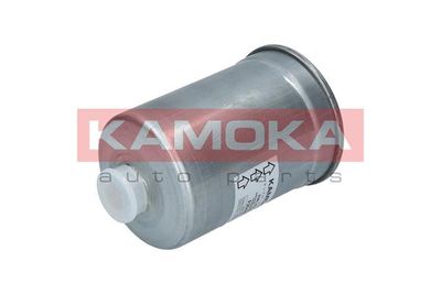 Fuel Filter F304801