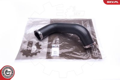 FURTUN EAR SUPRAALIMENTARE