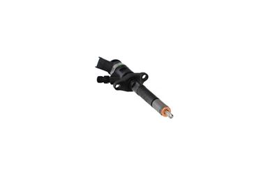 INJECTOR REMANTE 002003001132R 48