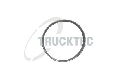 уплътнение, корпус на всмукателен колектор TRUCKTEC AUTOMOTIVE 08.13.001