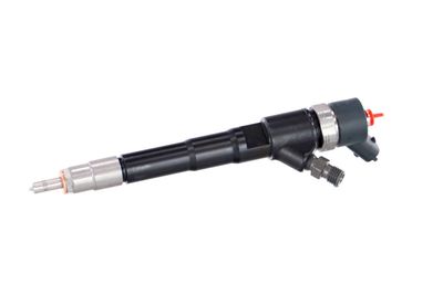 INJECTOR REMANTE 002003000156R 8