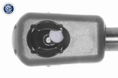 GASFEDER KOFFER-/LADERAUM VAICO V304557 1
