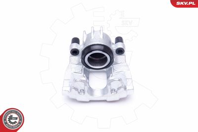 Brake Caliper 44SKV082