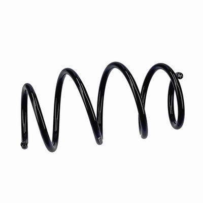 ARC SPIRAL EIBACH R20796 6