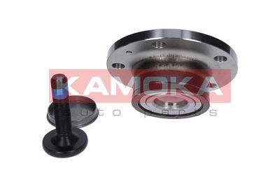 Wheel Bearing Kit 5500128