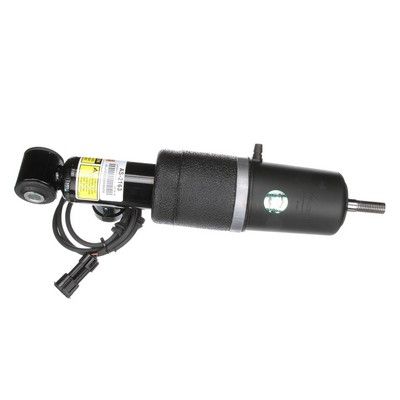 LUFTFEDERBEIN Arnott AS2163 65