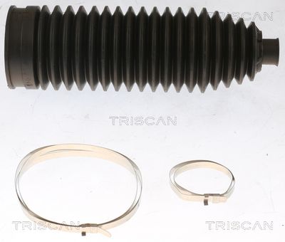 TRISCAN 8500 29081 Пыльник рулевой рейки  для AUDI A1 (Ауди А1)