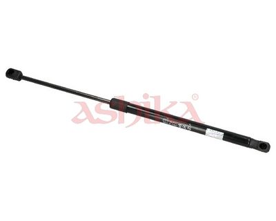 ZSAK0011