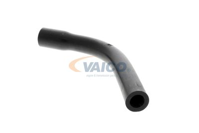 FURTUN AERISIRE CHIULASA VAICO V401175 18