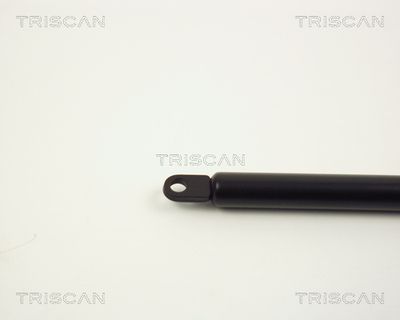 AMORTIZOR CAPOTA TRISCAN 87101012 1