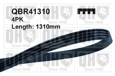 Поликлиновой ремень QUINTON HAZELL QBR41310 для DODGE NEON