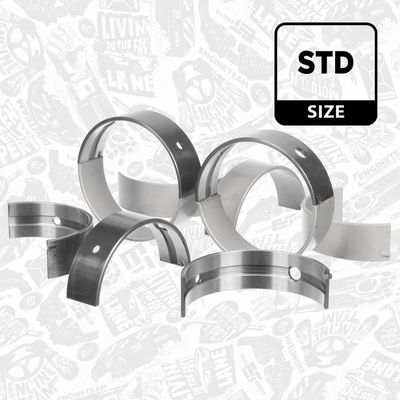 SET RULEMT ARBORE COTIT ET ENGINETEAM LH008500 2