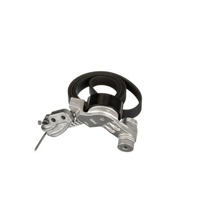 SET CUREA TRANSMISIE CU CANELURI GATES K236PK1183 38