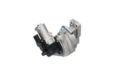 SUPAPA EGR Kavo Parts EEG7507 25