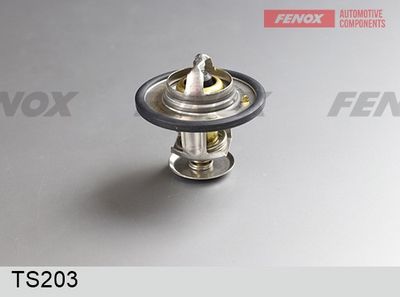 термостат, охладителна течност FENOX TS203
