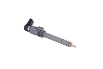 INJECTOR REMANTE 002003000081R 49