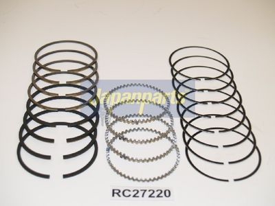 SEGMENT PISTON